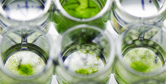 Applicazione di Bioreattore Fermentatore in Biotecnologie algali